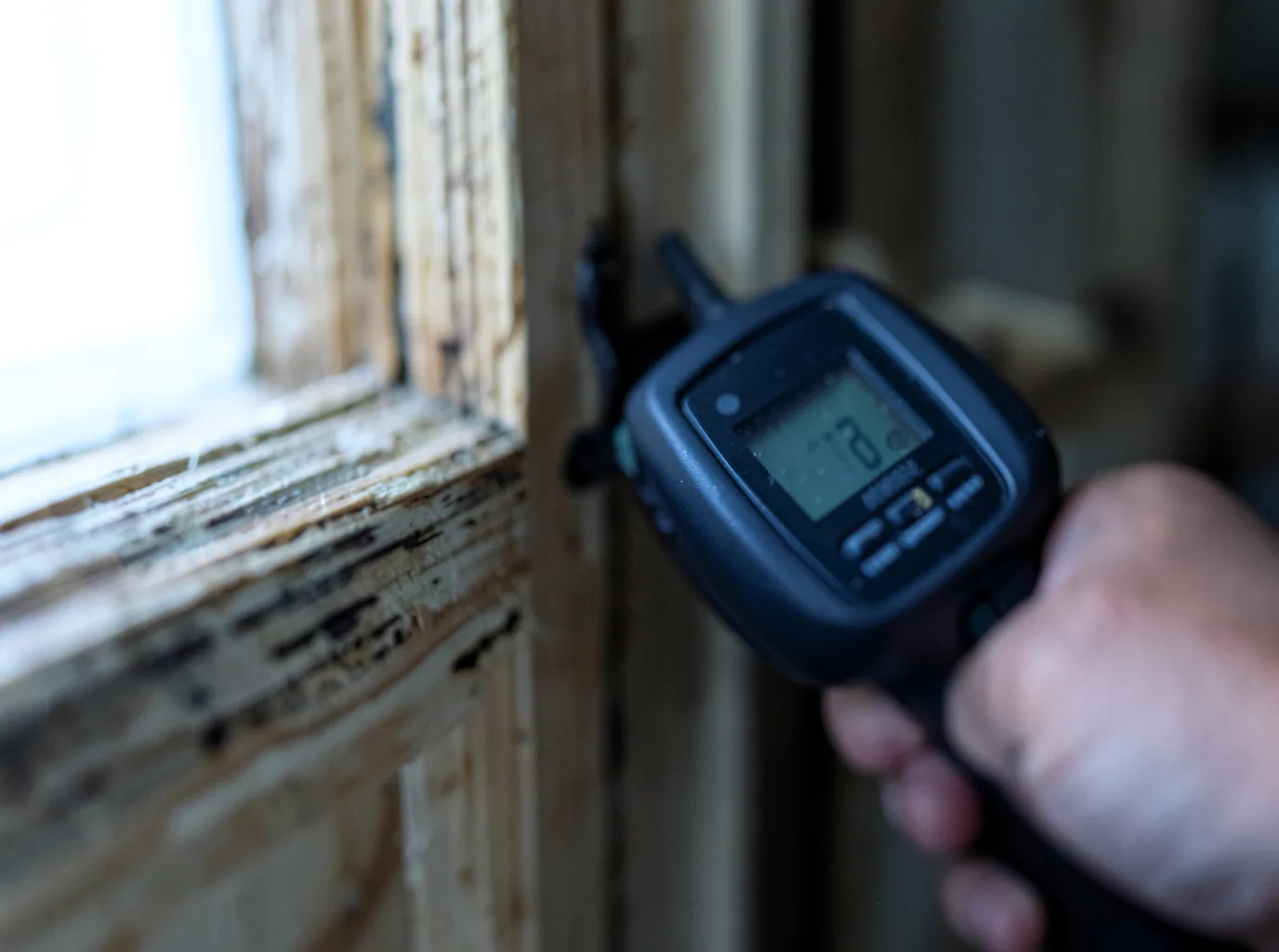 Moisture Inspection And Documentation in Mooreton, ND